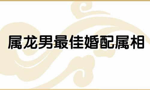 属龙男最佳婚配属相 98年属龙男最佳婚配